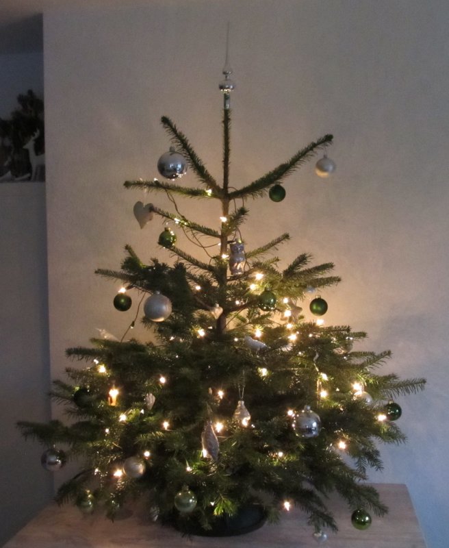 2012Weihnachtsbaum